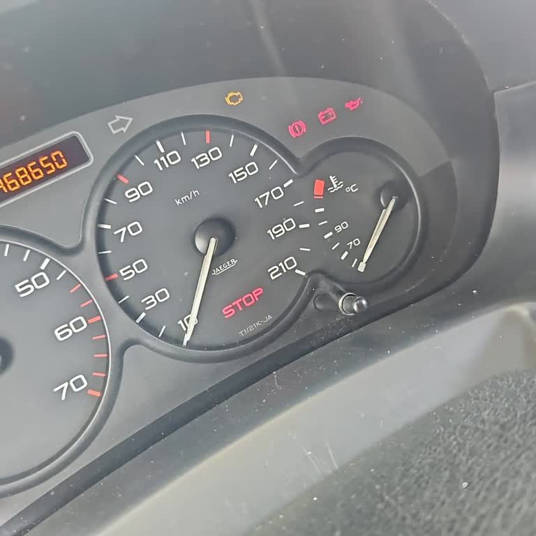Kilometre Yükselme Sorunu Peugeot Partner