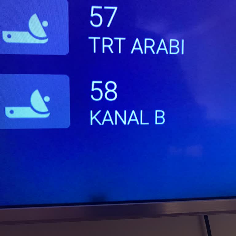 PHILIPS TV Philips Ölü Piksel