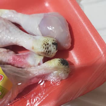 Şenpiliç Baget Tavuk Bozul Çıktı