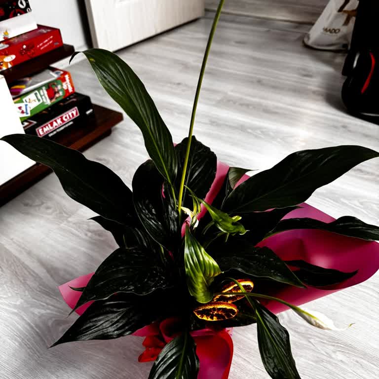 Taze Çiçek (tazecicek.com) Görselle Uyumsuzluk Eksik Sipariş