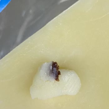 BİM Tost Kaşar Peynirin İçinden Yabancı Bir Parça Çıktı?