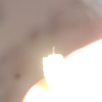 A101 Çıt Kırıldım Markalı Çubuk Krakerin İçinden Kıl Çıktı