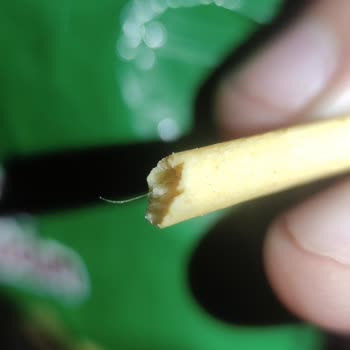 A101 Çıt Kırıldım Markalı Çubuk Krakerin İçinden Kıl Çıktı