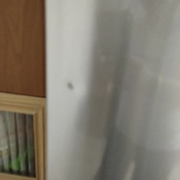 Siemens Buzdolabı Aldım Bir Hafta İçinde Kapaklar Çöktü