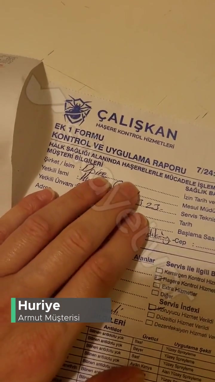 Armut.com Ve Çalışkan Haşere Besleme Servisi Mağduru! videonun kapak resmi