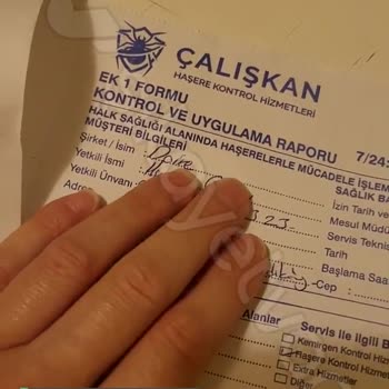 Armut.com Ve Çalışkan Haşere Besleme Servisi Mağduru!