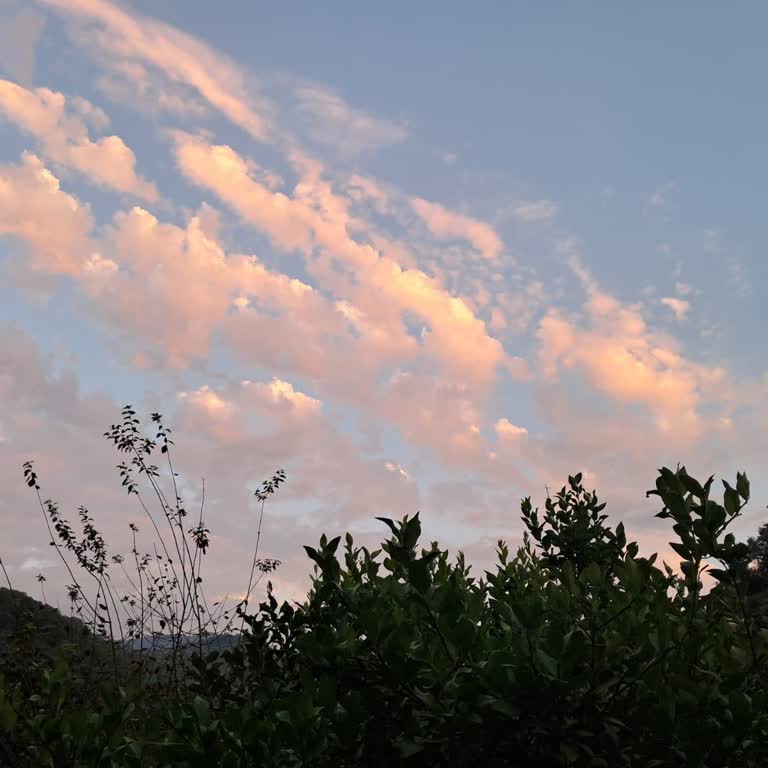 Ziraat Bankası ATM'de Yutulan Para Ve Uzun Çözüm Süresi Sorunu