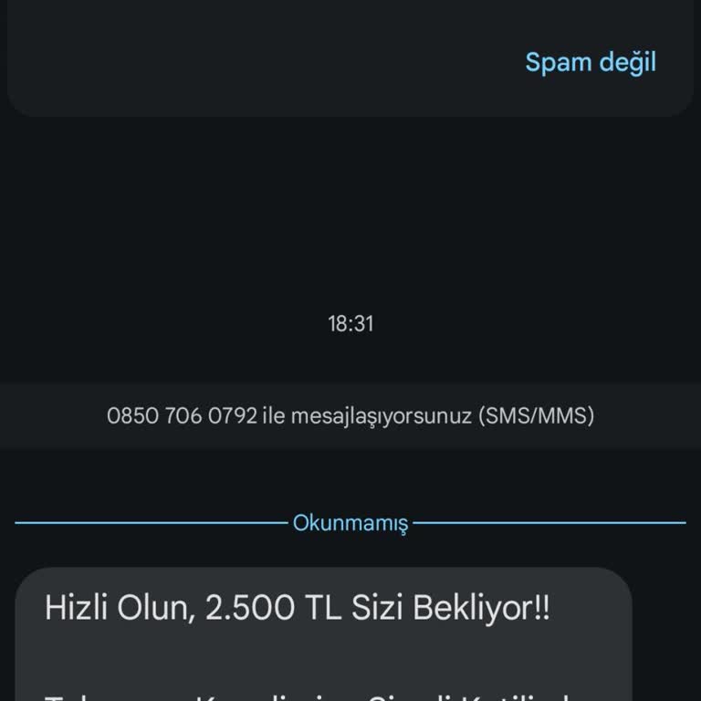 Bayspin Devamlı Gönderilen Mesajlar