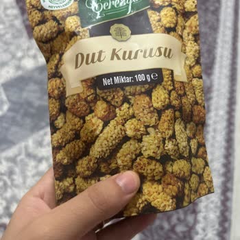 Çerezya Dut Kurusu Böcekli