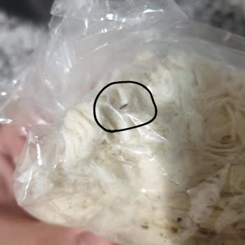 Çitlekçi'den Aldığım Pişmaniyenin İçinden Böcek Çıktı