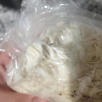 Çitlekçi'den Aldığım Pişmaniyenin İçinden Böcek Çıktı