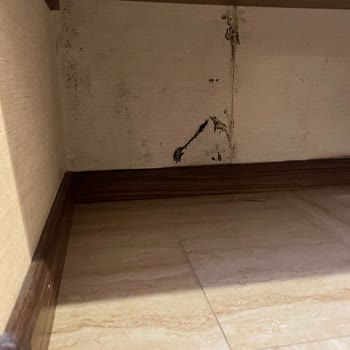 Nuh'un Gemisi Deluxe Hotel & SPA Rutubet Kokusu Ve Eksik Hizmetler Tatilimizi Mahvetti