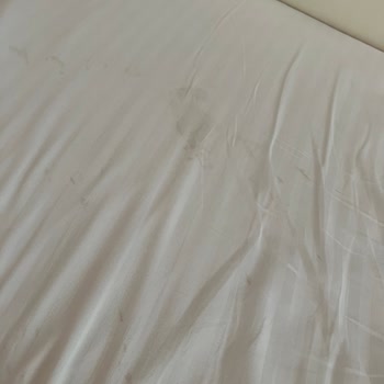 Nuh'un Gemisi Deluxe Hotel & SPA Rutubet Kokusu Ve Eksik Hizmetler Tatilimizi Mahvetti