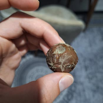 A101 Kahve Dünyası Küflü Böcekli Çikolata