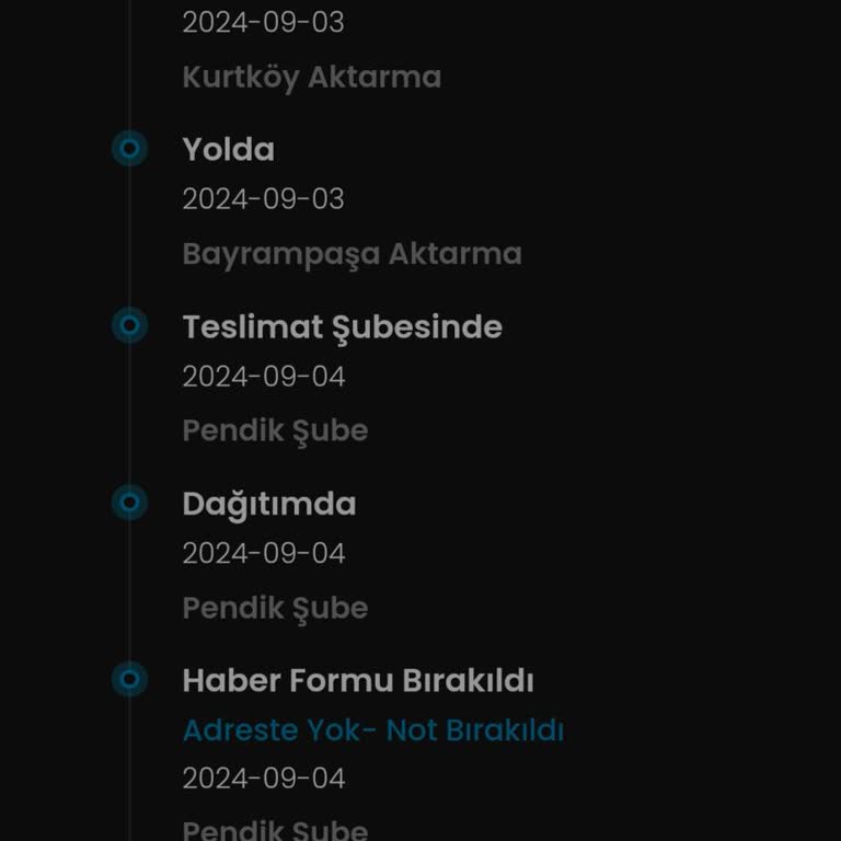 Kargoist Evdeyiz Ama Kargom Sanki Evde Yokmuşuz Gibi Pendik Şubeye Gitti