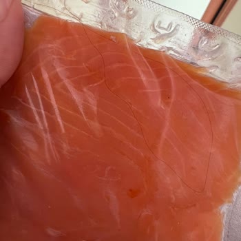 Mezzemarin Somon Füme İçinden Saç Çıktı