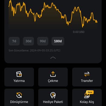Bybit De Varlıklarım Sıfırlandı