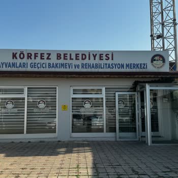Körfez Belediyesi Sokak Hayvanları Kısırlaştırma