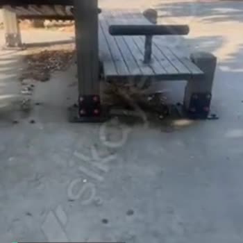 İstanbul Büyükşehir Belediyesi Kartal Sahil Parklar Spor Alanları Leş Gibi!