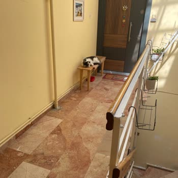 Eki aç