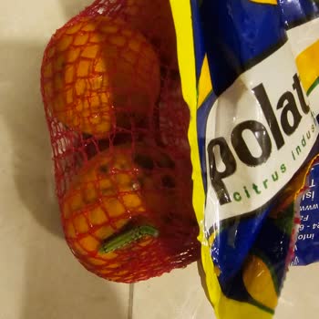 Migros Hemen Siparişimde Çürük Ve Böcekli Portakal Getirildi