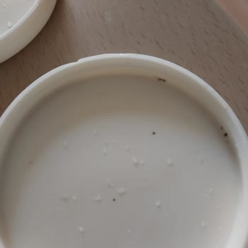 Paşabahçe Su Kabı Kapakları Küflendi