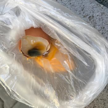 Anadolu Çiftliği Bozuk Yumurta Şok Market