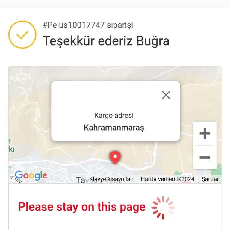Peluş Dünyam İletişim Sorunu Ve İptal Edememe