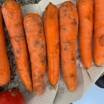 Migros Çürük Sebze Gönderiyor.