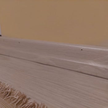 ilaclama.com.tr İlaçlama Sonrası Şişme