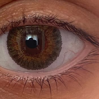 Gardrops Eksik Bilgilendirmeyle Satılan Ürün Ve Satıcı Tarafından Engellenmem