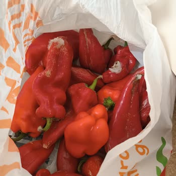 Migros Market Önce Eksik Ürün Sonra Küflü Ve Çürük Ürün Gönderdi.