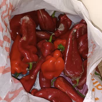 Migros Market Önce Eksik Ürün Sonra Küflü Ve Çürük Ürün Gönderdi.