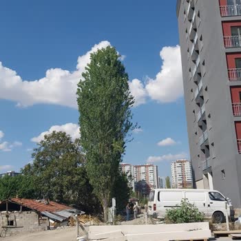 Kredi ve Yurtlar Kurumu Etimesgut Eryaman Yurdu