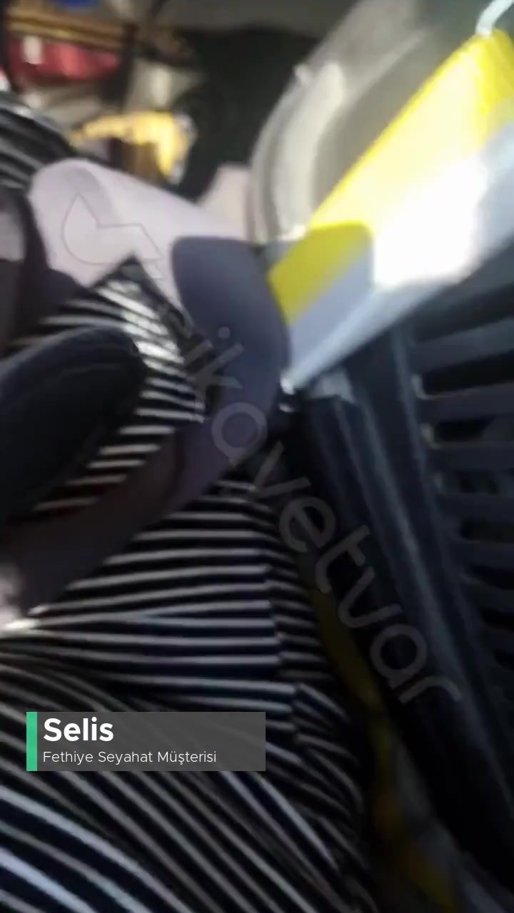 Fethiye Seyahat Chihuahua'dan Full Koltuk Fiyatı Alınır Mı? videonun kapak resmi