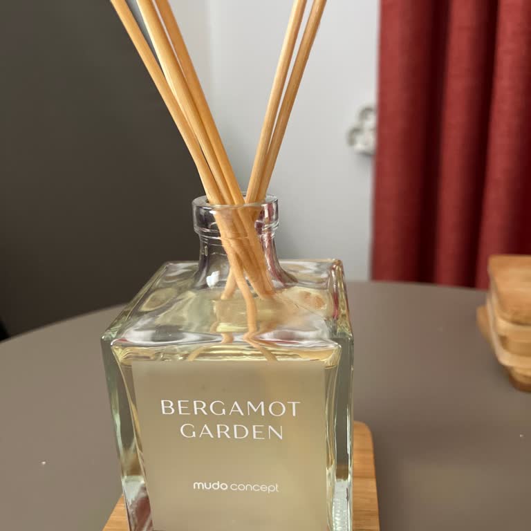 Mudo Oda Kokusu Hiç Yayılmıyor