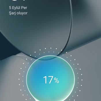 Oppo A74 Hızlı Şarj Sorunu