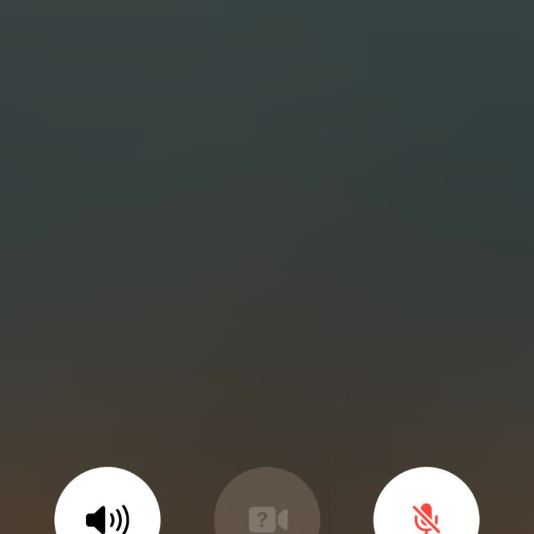 Togg'a Ulaşılamıyor Servis Randevusu Alınamıyor