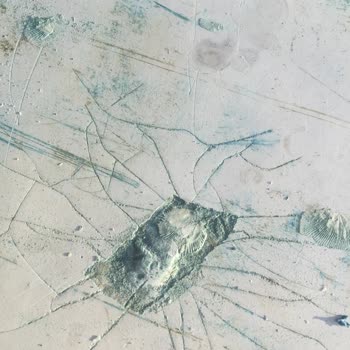 Koç Marine Yalova Koç Marin Pişmanlığı