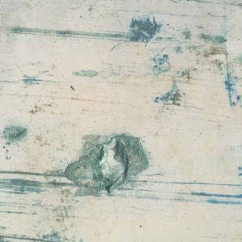 Koç Marine Yalova Koç Marin Pişmanlığı