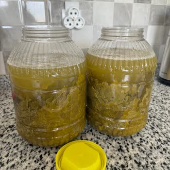 Yasmin Doğal (ege_salamur_) Bom Boş Geldi Sadece Su