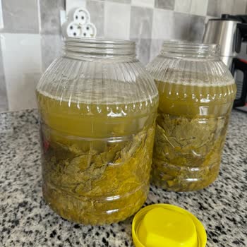 Yasmin Doğal (ege_salamur_) Bom Boş Geldi Sadece Su