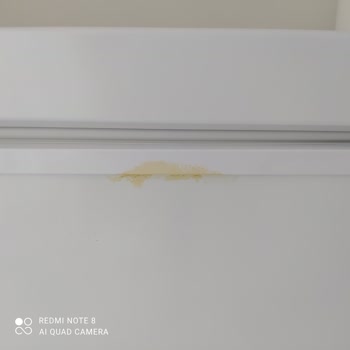 Dijitsu Derin Dondurucu Leke Oluşumu