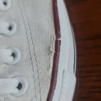 Online Lostra İroni ( İlk Günkü Gibi )