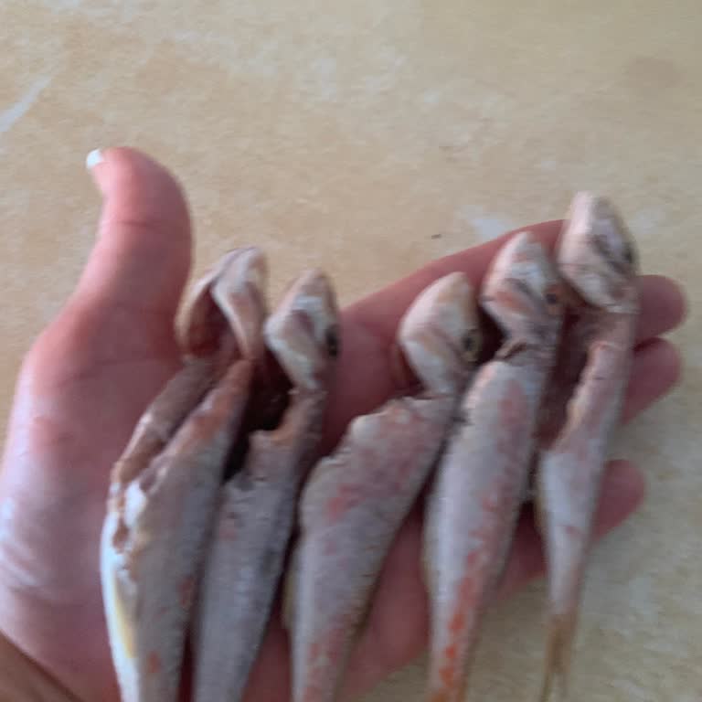 Balıkhanem Yanlış Balık Siparişi Ve Erimiş Buzlarla Gelen Ürün