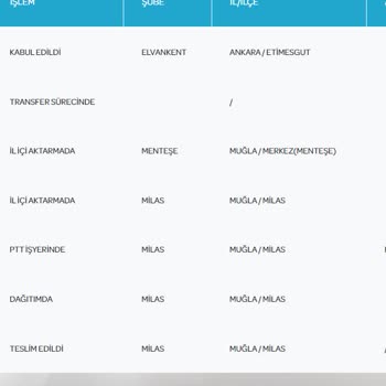 PTT Kargo Teslimat Sorunu: Yanlış Adrese Bırakılan Kargo