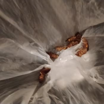 Swiss Inn Hotel Akdeniz Mersin Otelinde Hijyen Ve Teknik Sorunlar