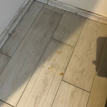 My Ella Resort&SPA Hotel Ve ETS Tur Mağduriyeti