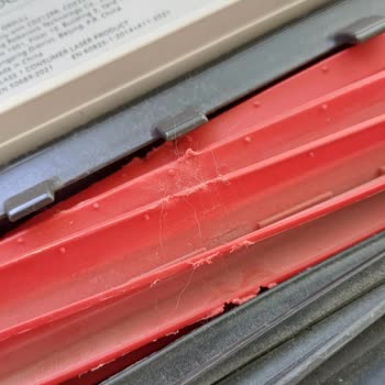 Roborock 3 Ayda Deforme Olan Kauçuk Fırçalar