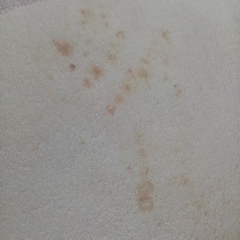 Tefal Beni 2 Ay Mağdur Etti!